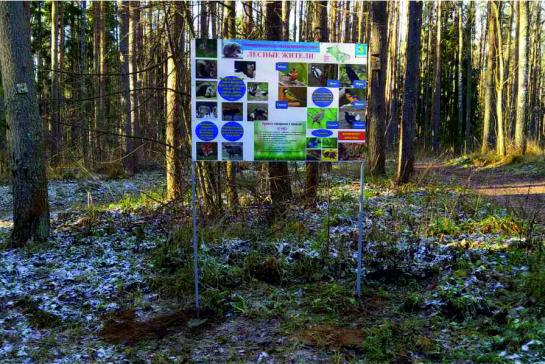 Информационный стенд — фото-444_9