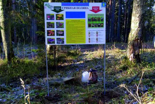 Информационный стенд — фото-444_8