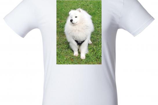 Печать на футболках — фото-507_1